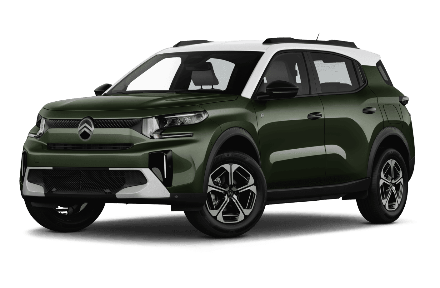 vert-montana-metallise-toit-bi-ton-blanc-opale