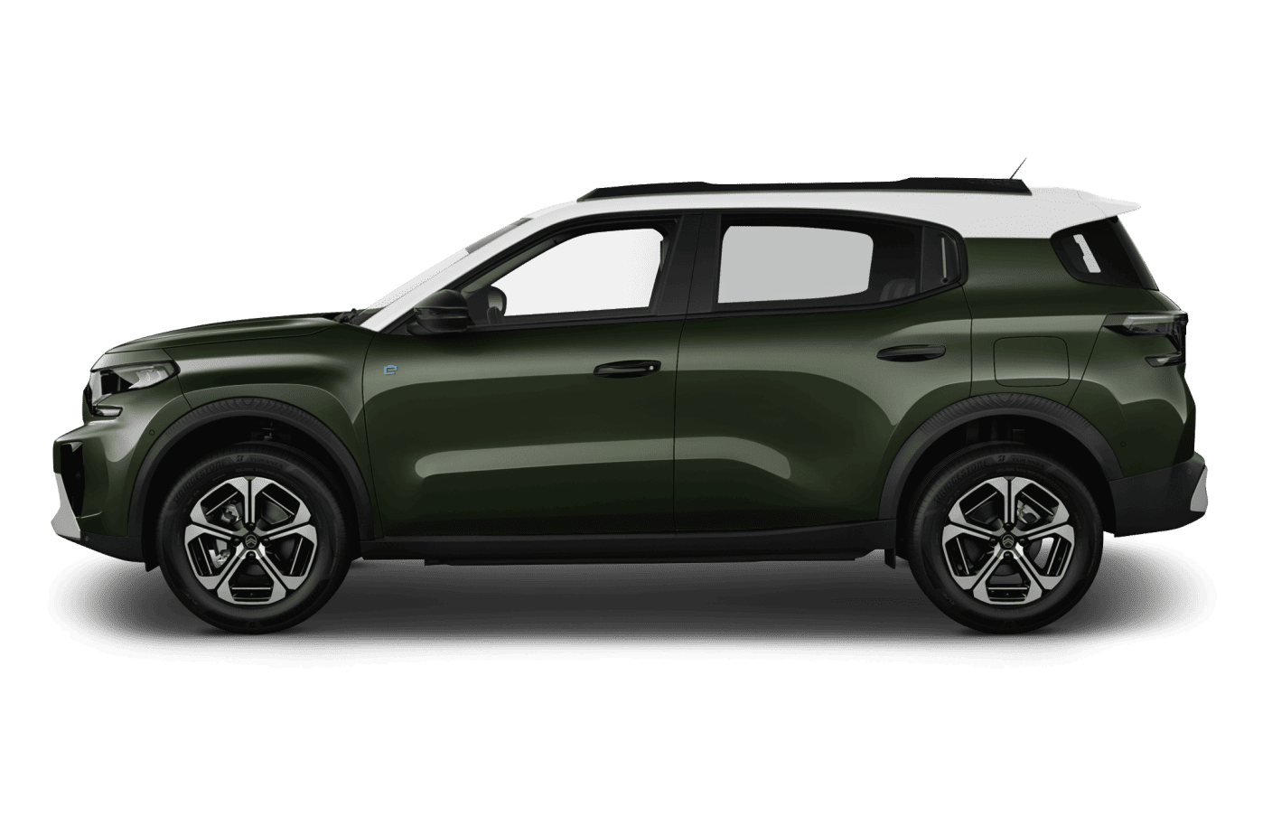 vert-montana-metallise-toit-bi-ton-blanc-opale