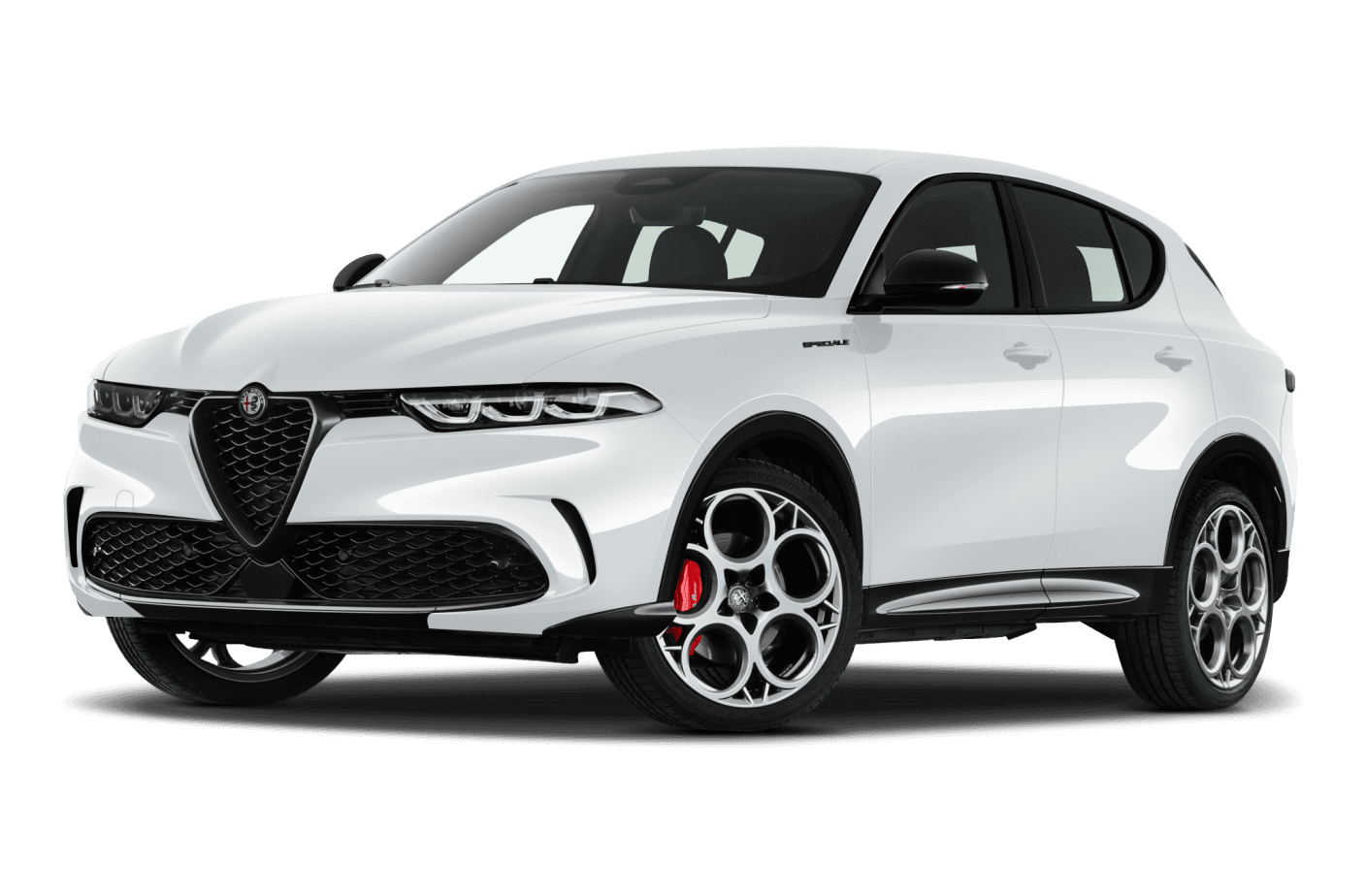 bianco-alfa